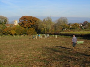 Planting of the Diamond Jubilee Wood